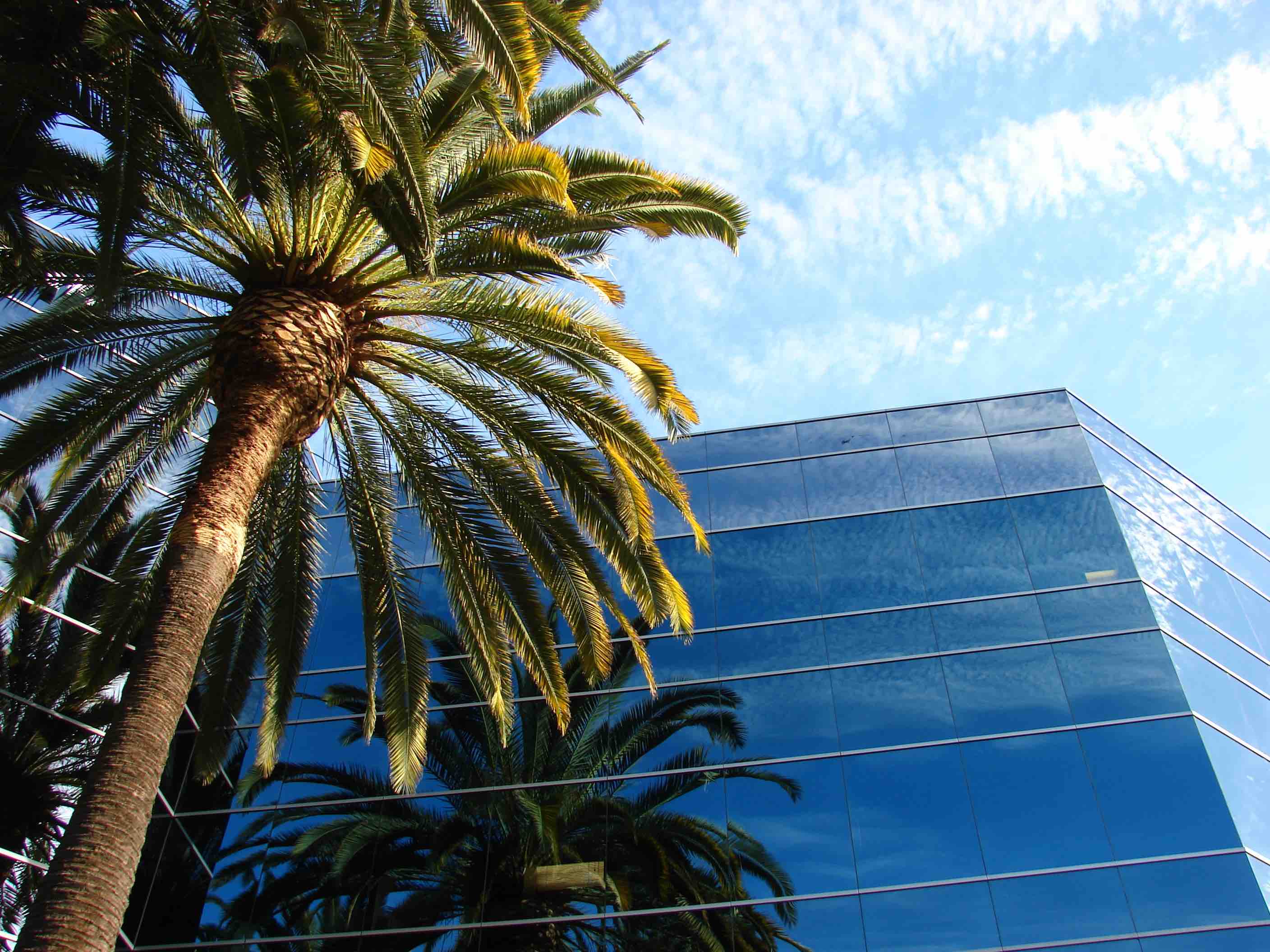 Public Relations Tampa Bay (PR Tampa Bay) - Marketing and Communications Tampa Bay - Marlin Media and Consulting Tampa Bay - office building image